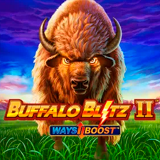 Buffalo Blitz 2