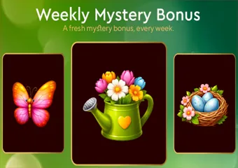 No Deposit bonus