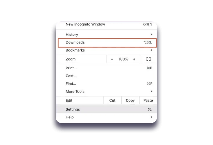 Downloads section in the browser